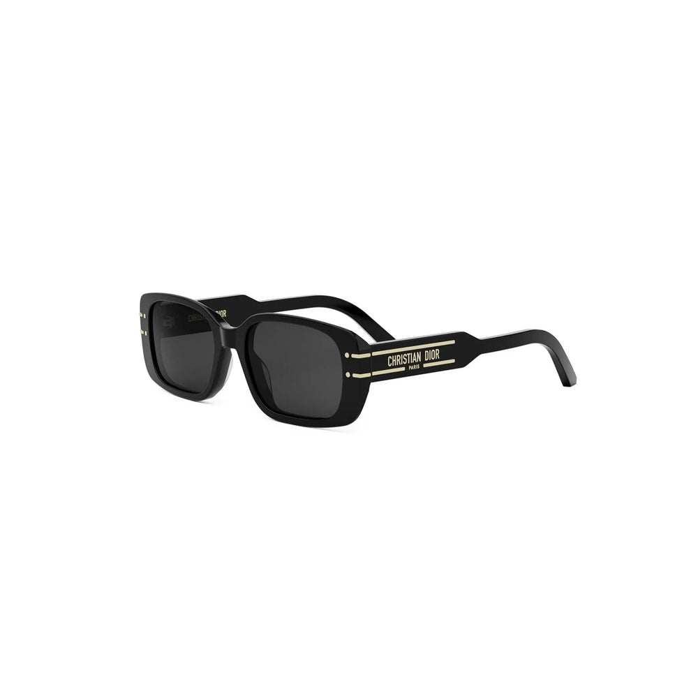 DIOR DIORSIGNATURE CD40176I 01A 53