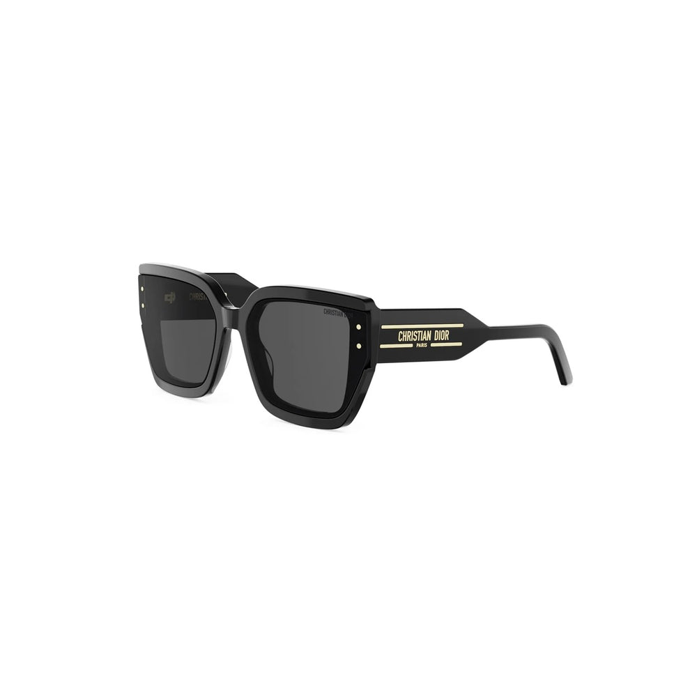 DIOR DIORSIGNATURE CD40208I 01A 64