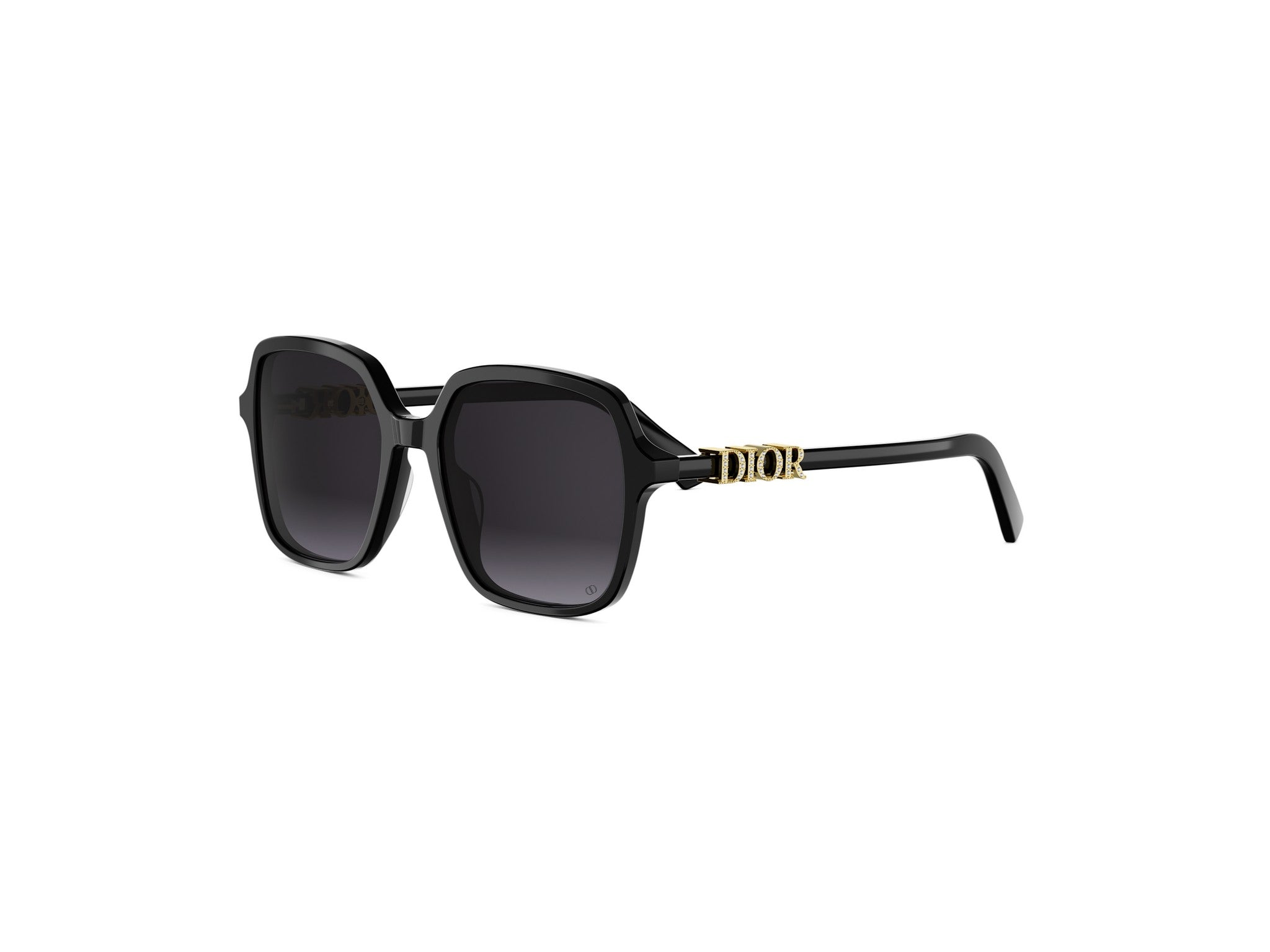 DIOR DIORTREASURE S1I 10A1 CD40232I 01B 54 | Bassol Optic United