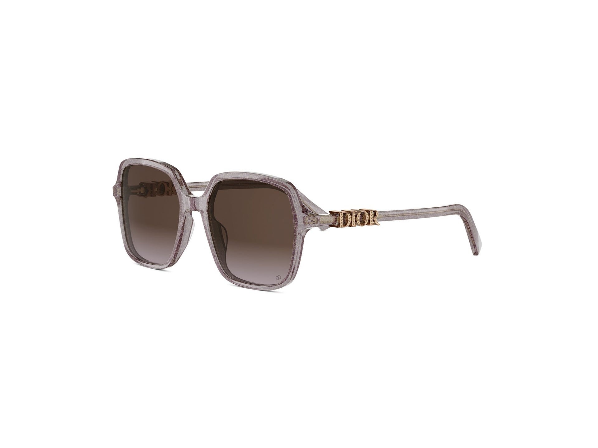 DIOR DIORTREASURE S1I 84F2 CD40232I 20F 54