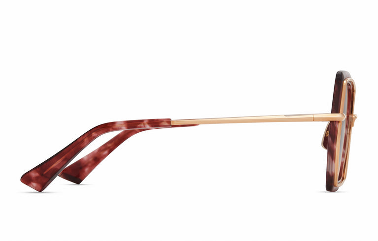 Dita NARCISSUS-TWO 02 54