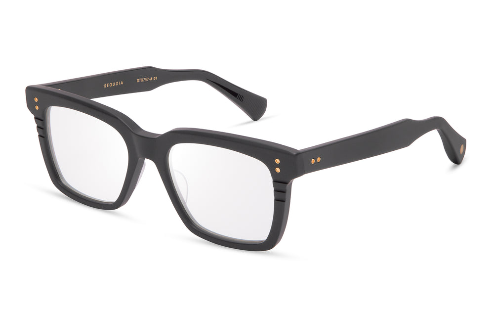 Dita SEQUOIA 01 54
