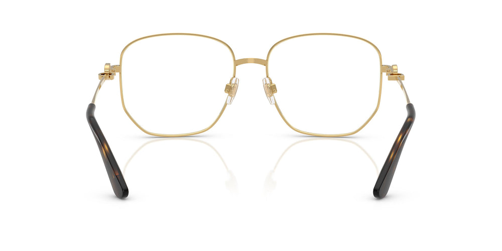 Dolce & Gabbana DG1356 02 56