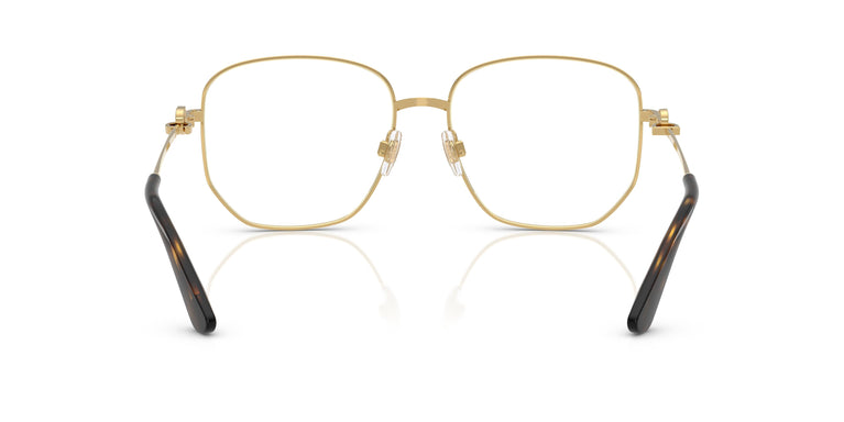 Dolce & Gabbana DG1356 02 56