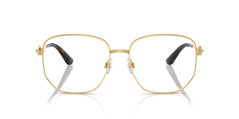 Dolce & Gabbana DG1356 02 56