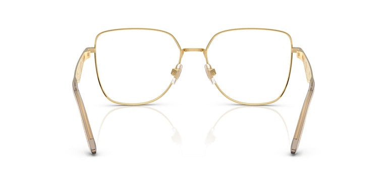 Dolce & Gabbana DG1358 02 56