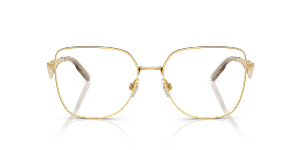 Dolce & Gabbana DG1358 02 56