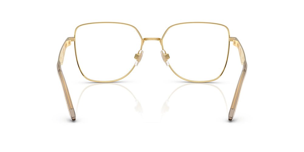 Dolce & Gabbana DG1358 1366 54