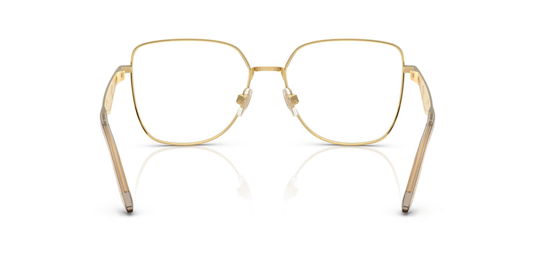 Dolce & Gabbana DG1358 1366 54