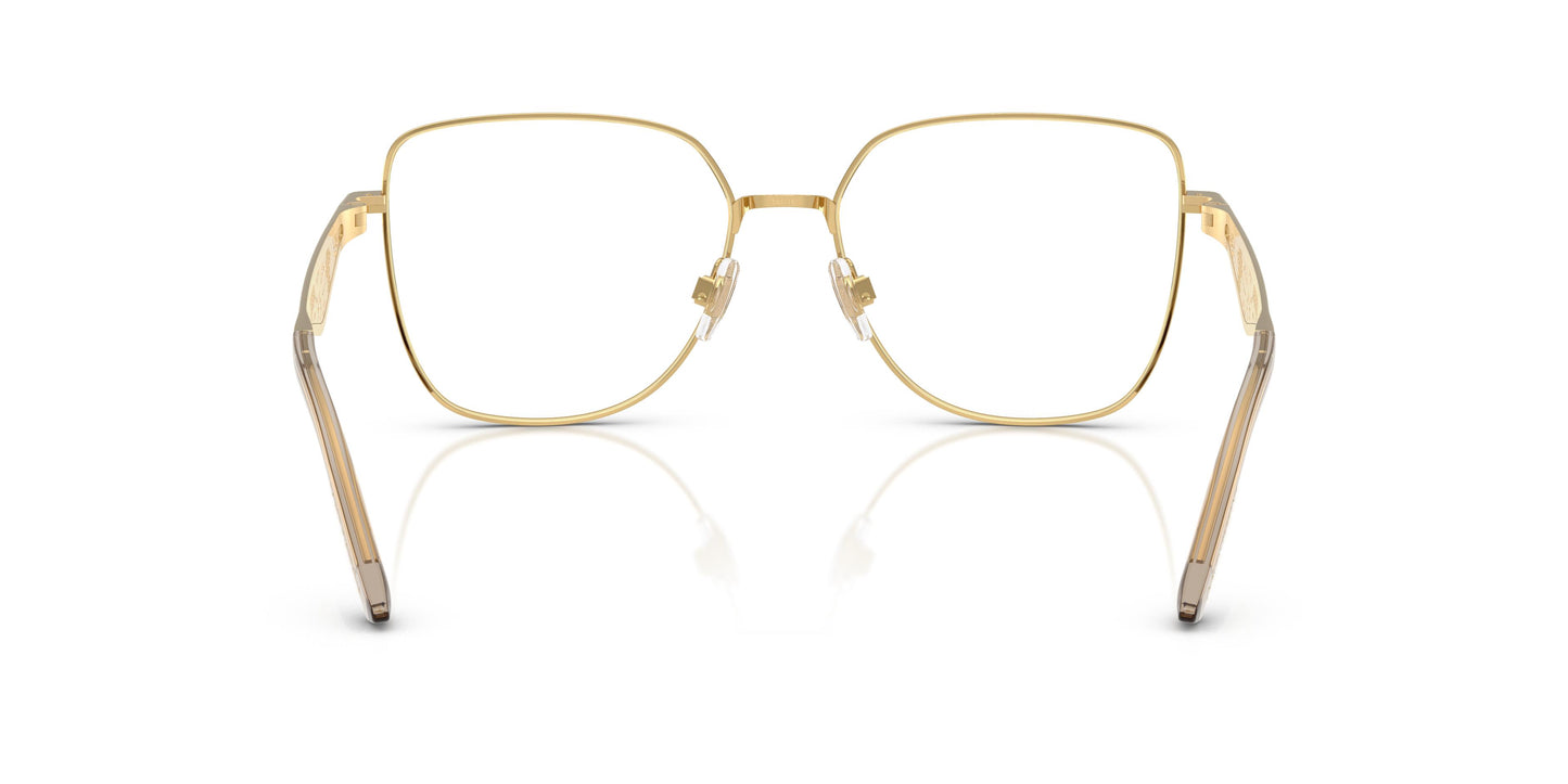 Dolce & Gabbana DG1358 1366 56
