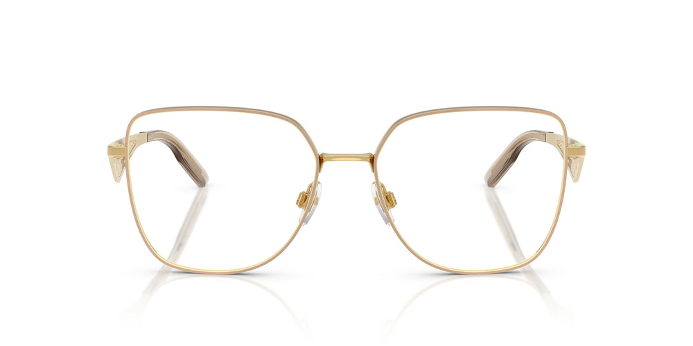 Dolce & Gabbana DG1358 1366 54