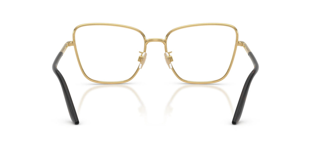 Dolce & Gabbana DG1359 02 55