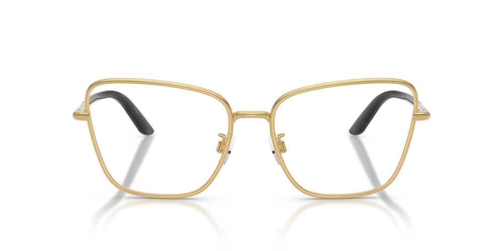 Dolce & Gabbana DG1359 02 55