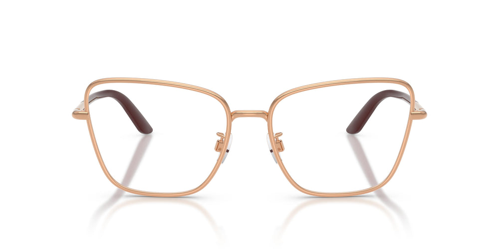 Dolce & Gabbana DG1359 1298 55