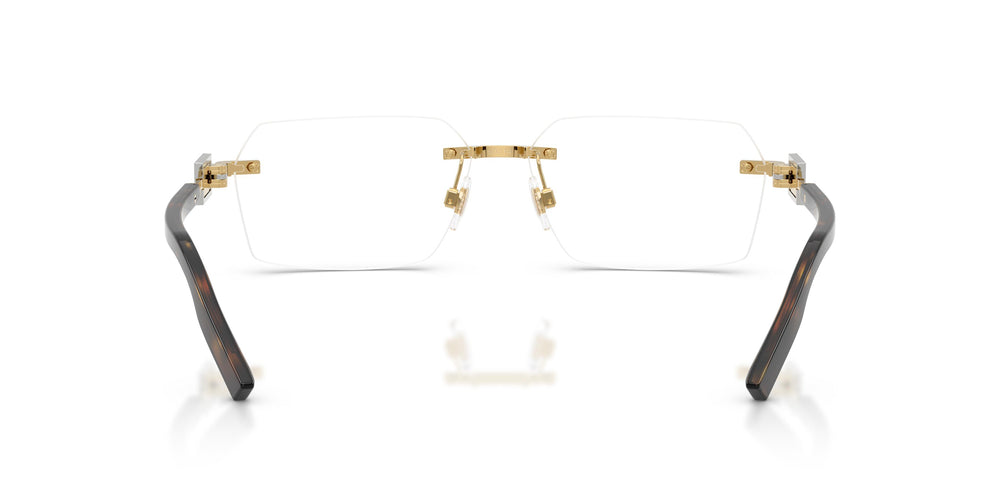 Dolce & Gabbana DG1361 02 60