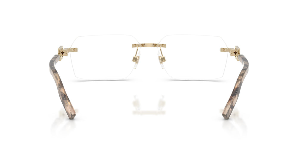 Dolce & Gabbana DG1361 488 60