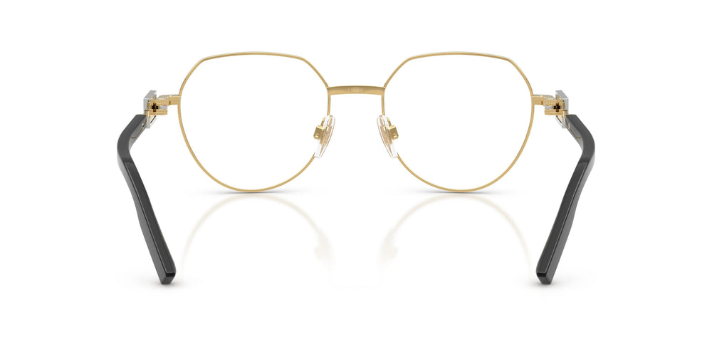 Dolce & Gabbana DG1362 02 51