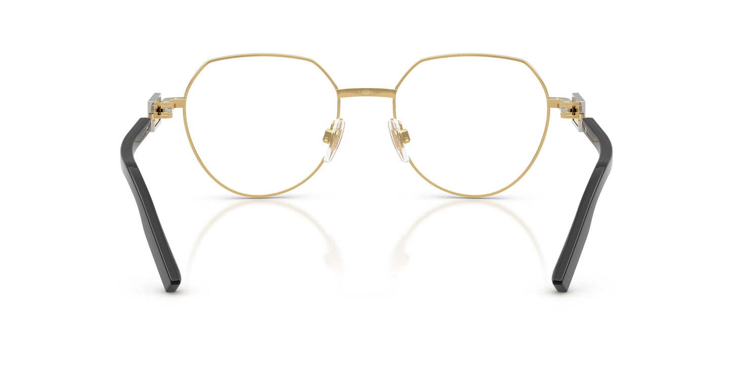 Dolce & Gabbana DG1362 02 53