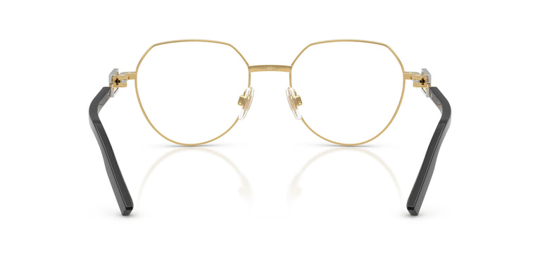 Dolce & Gabbana DG1362 02 53