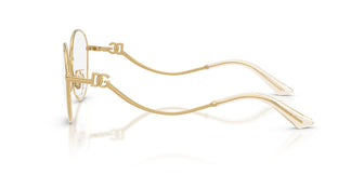 Dolce & Gabbana DG1365 02 53