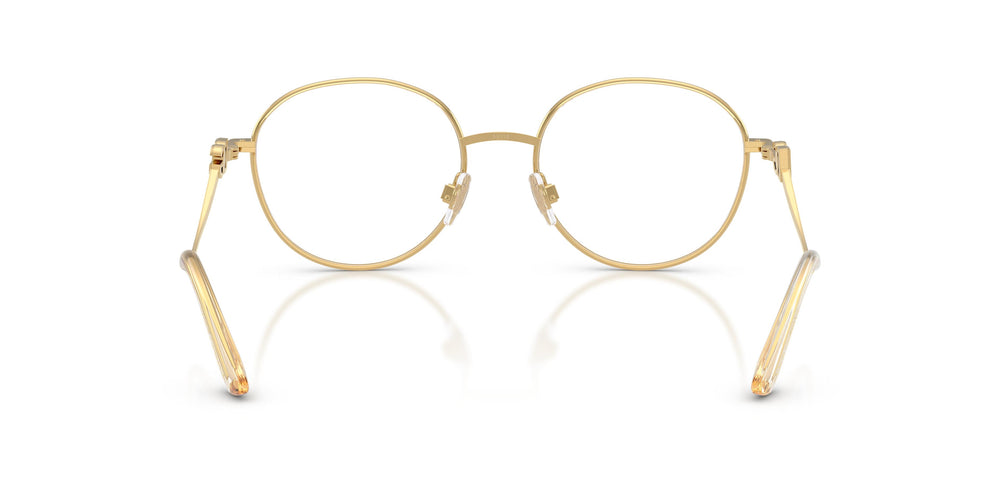 Dolce & Gabbana DG1365 02 53