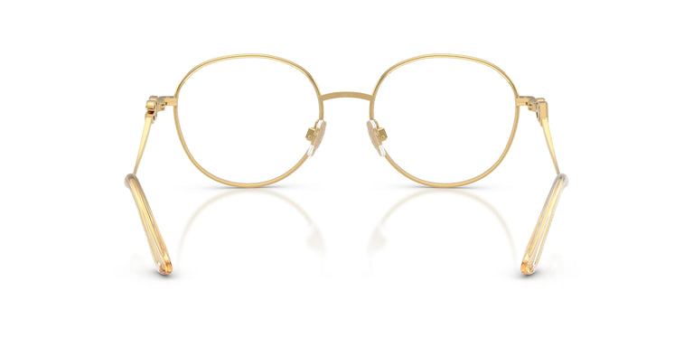 Dolce & Gabbana DG1365 02 53