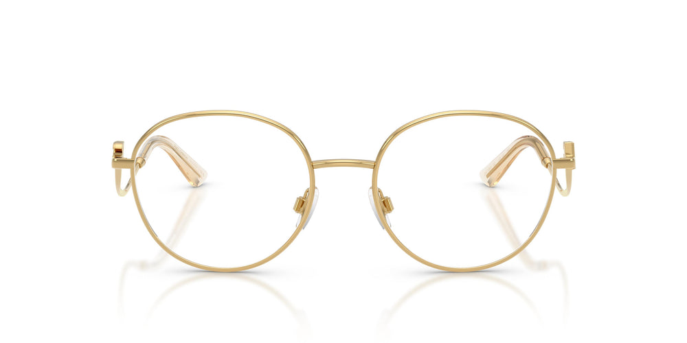 Dolce & Gabbana DG1365 02 53