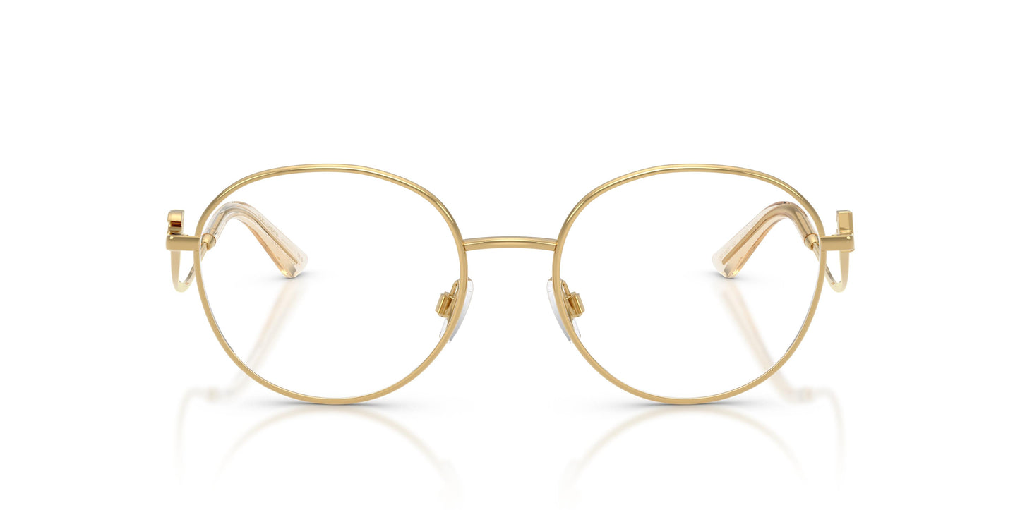 Dolce & Gabbana DG1365 02 53