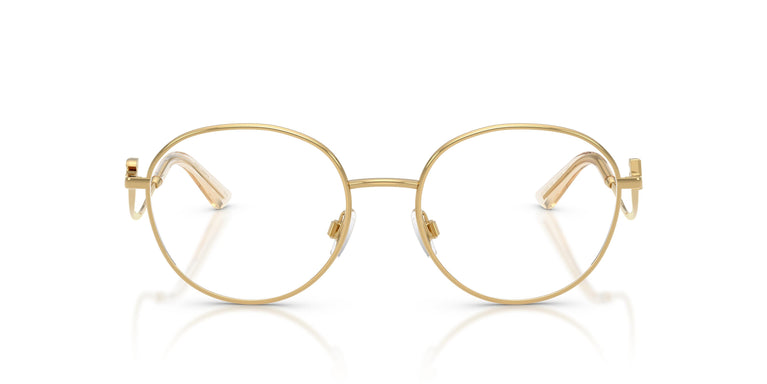 Dolce & Gabbana DG1365 02 53