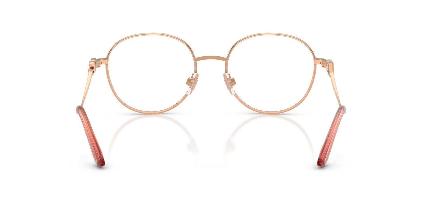 Dolce & Gabbana DG1365 1369 53