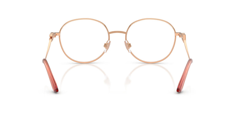 Dolce & Gabbana DG1365 1369 53