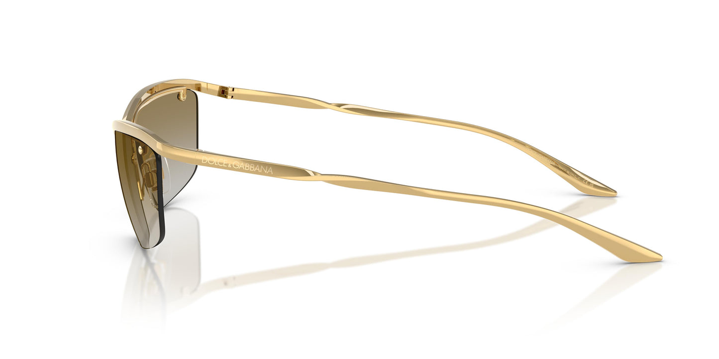 Dolce & Gabbana DG2307 02/6E 61