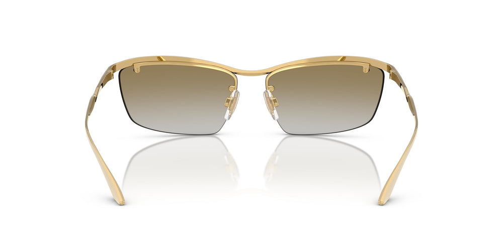 Dolce & Gabbana DG2307 02/6E 61