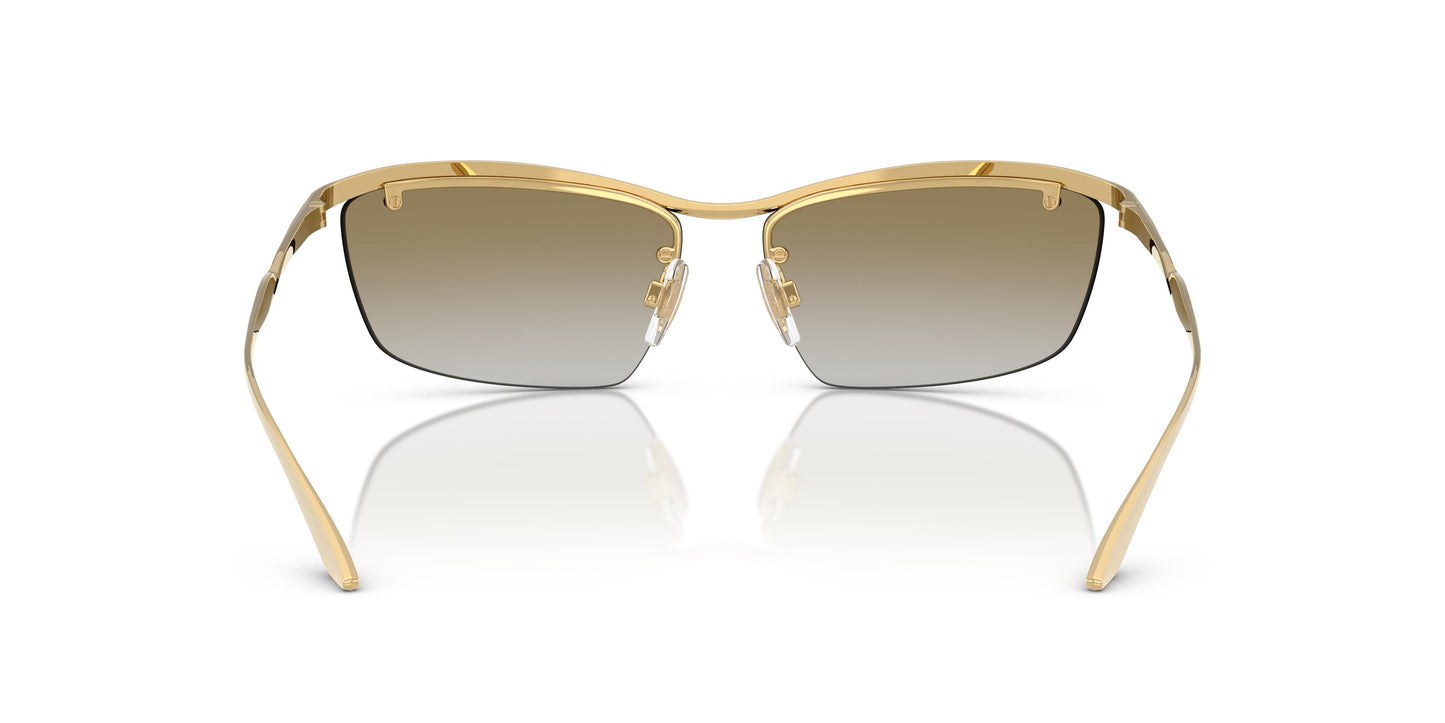 Dolce & Gabbana DG2307 02/6E 61