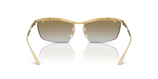 Dolce & Gabbana DG2307 02/6E 61