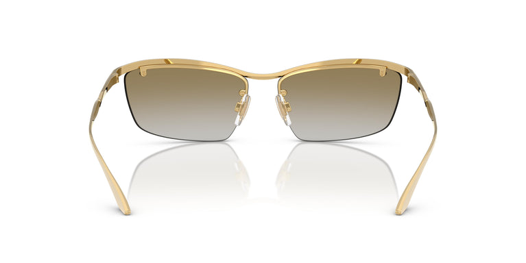 Dolce & Gabbana DG2307 02/6E 61