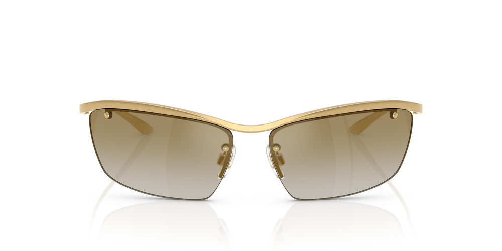 Dolce & Gabbana DG2307 02/6E 61