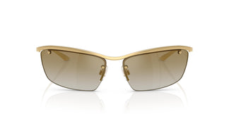 Dolce & Gabbana DG2307 02/6E 61
