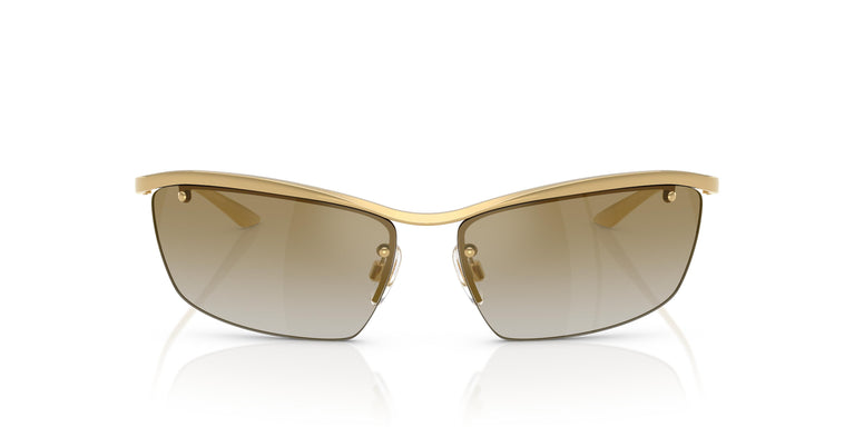 Dolce & Gabbana DG2307 02/6E 61