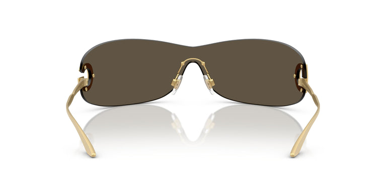 Dolce & Gabbana DG2308 12246E 0