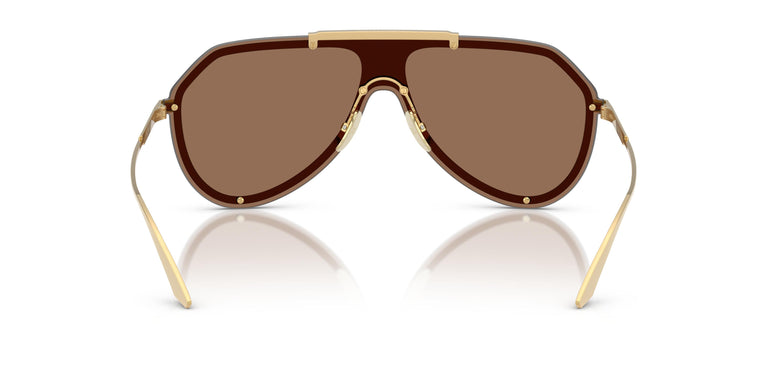 Dolce & Gabbana DG2309 02/73 0