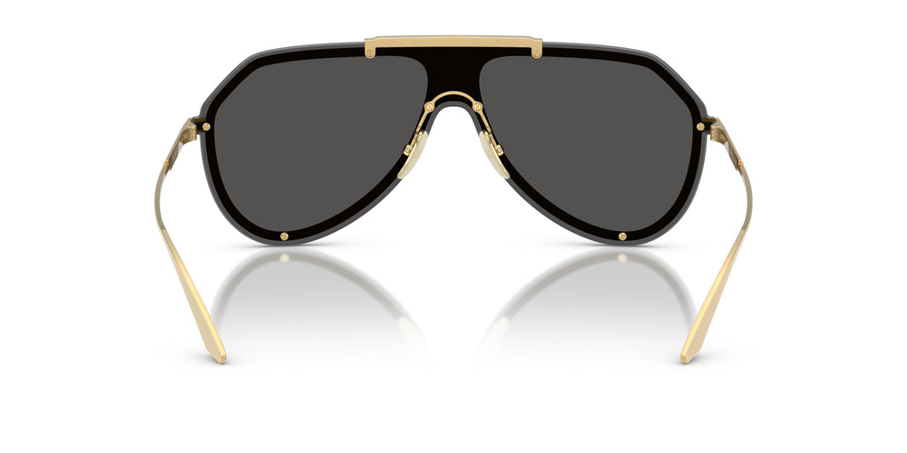 Dolce & Gabbana DG2309 02/87 0