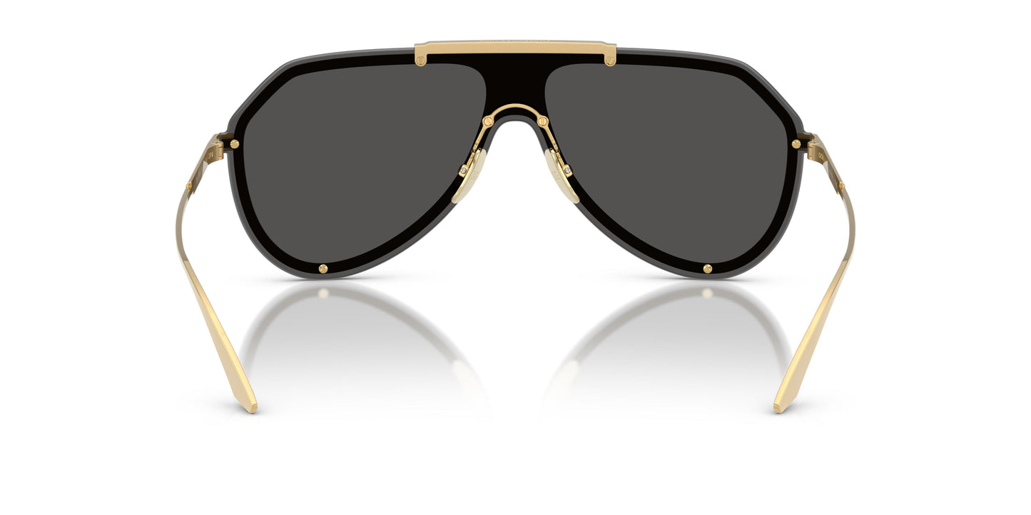 Dolce & Gabbana DG2309 02/87 0