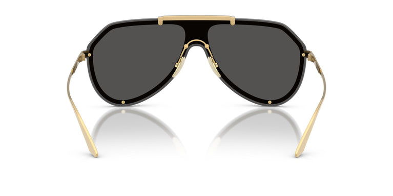 Dolce & Gabbana DG2309 02/87 0