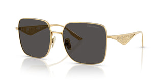 Dolce & Gabbana DG2310 02/87 57