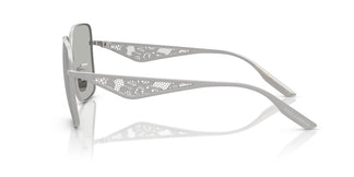 Dolce & Gabbana DG2310 13648V 57