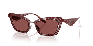 Dolce & Gabbana DG2311 131975 51
