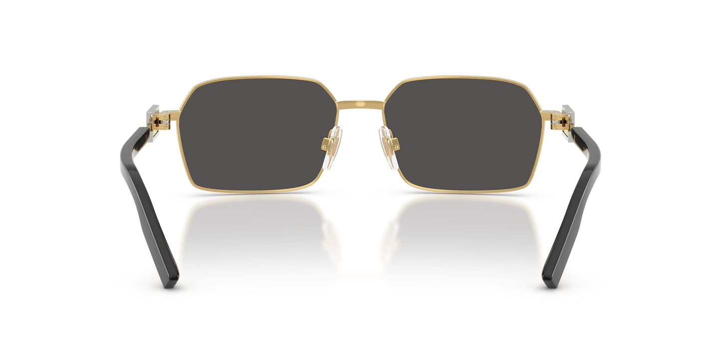Dolce & Gabbana DG2316 02/87 56