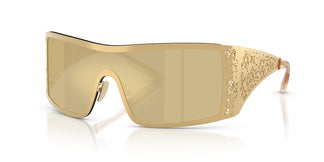 Dolce & Gabbana DG2317 02/7I