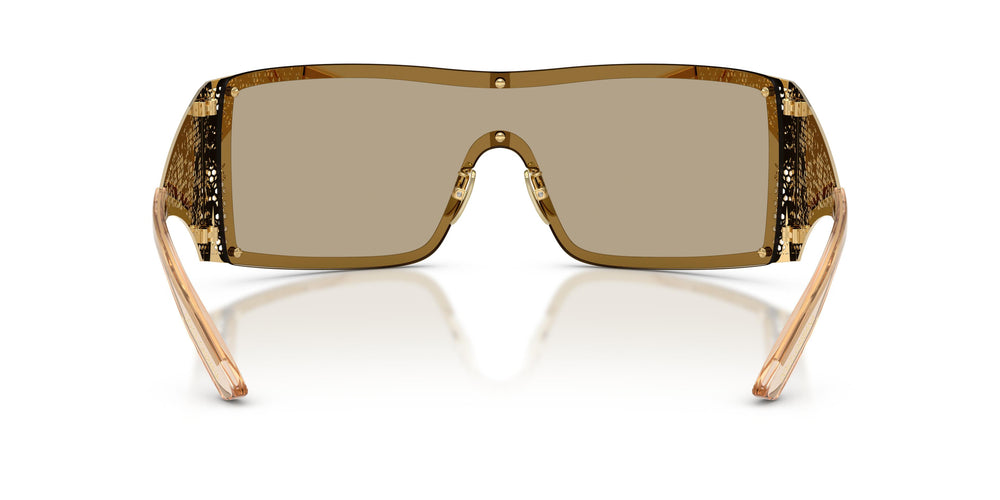 Dolce & Gabbana DG2317 02/7I
